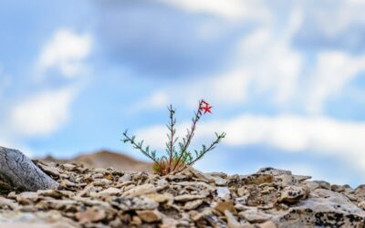 Valuing Hardship