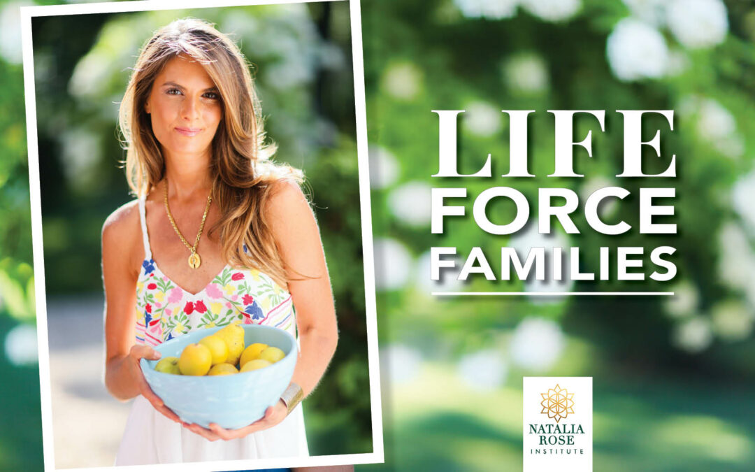 Life Force Families – guidance for mothers